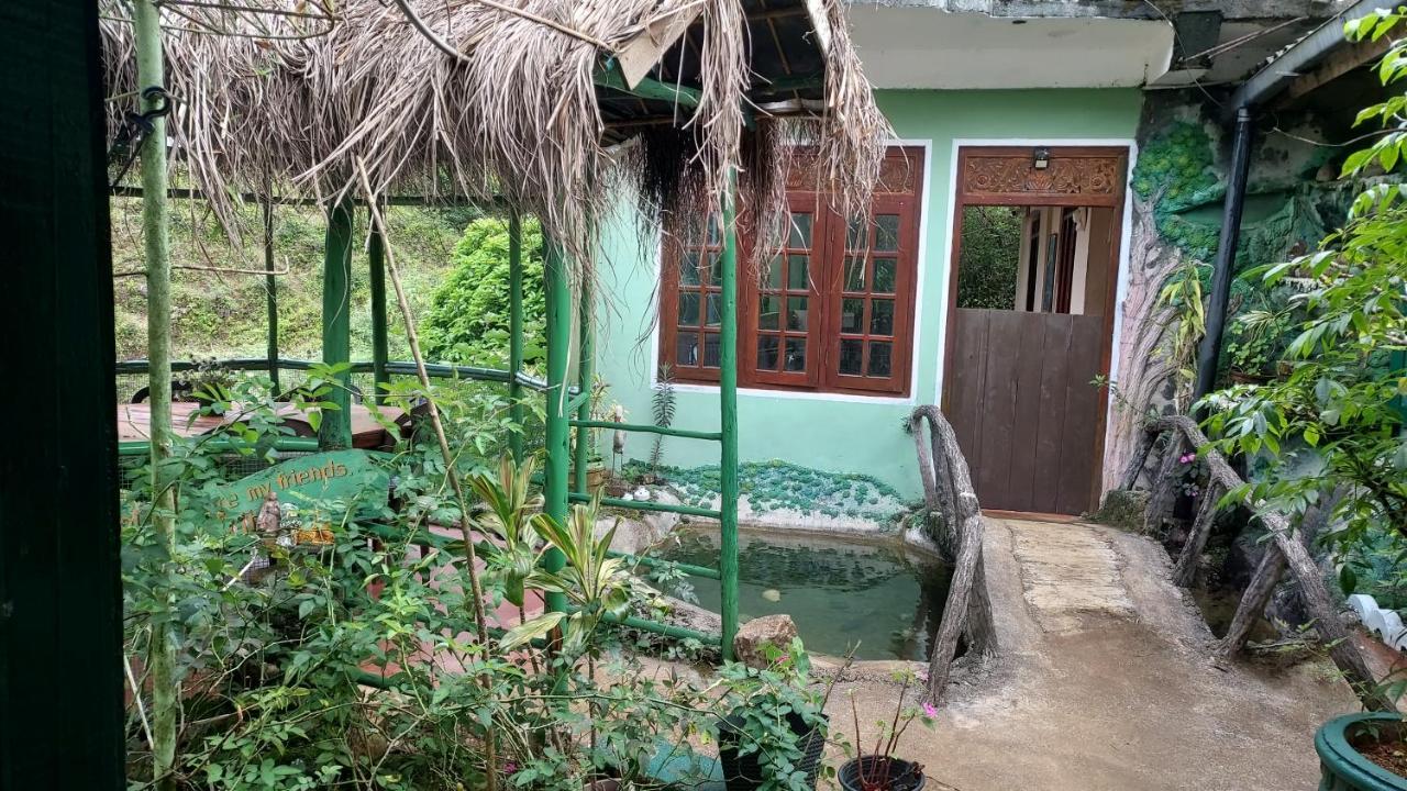 Green House Nallathanniya Bagian luar foto