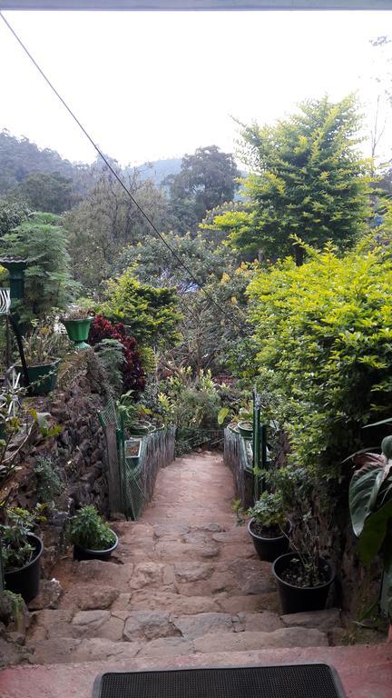 Green House Nallathanniya Bagian luar foto