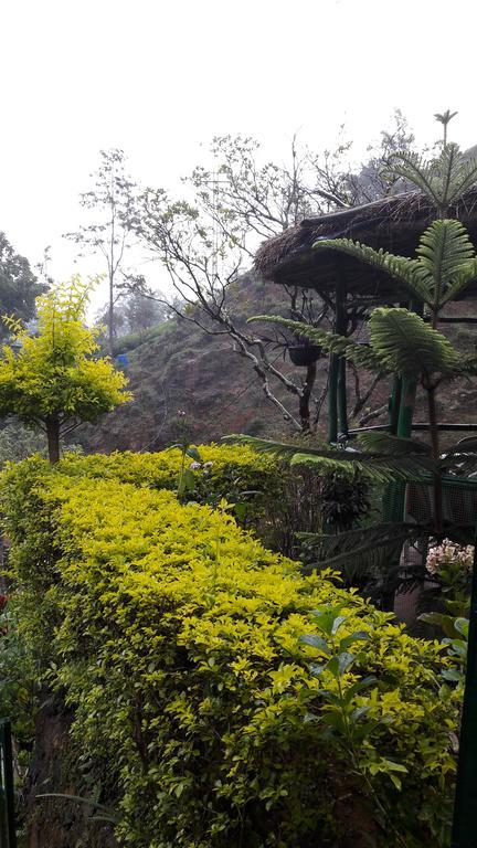 Green House Nallathanniya Bagian luar foto