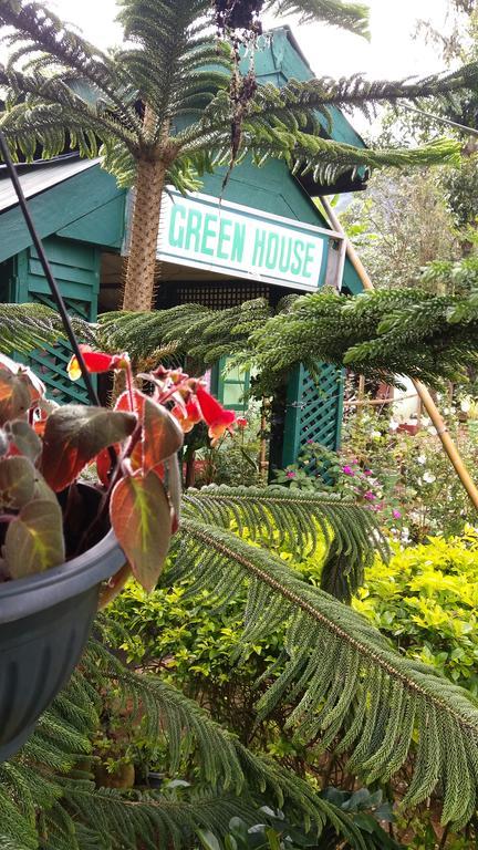 Green House Nallathanniya Bagian luar foto